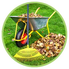 Seasonal landscape cleanup in Broussard LA