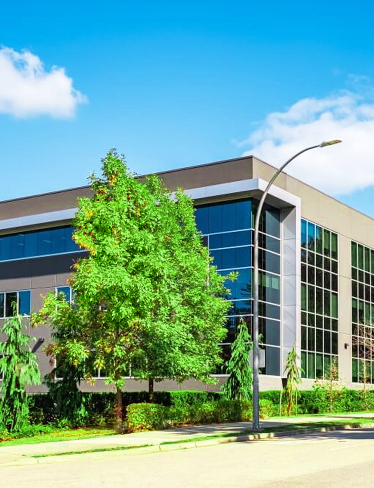 Commercial Landscaping